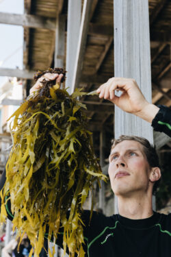 A blonde man in a wetsuit stands holding a bouquet of seaweed, inspecting it.
