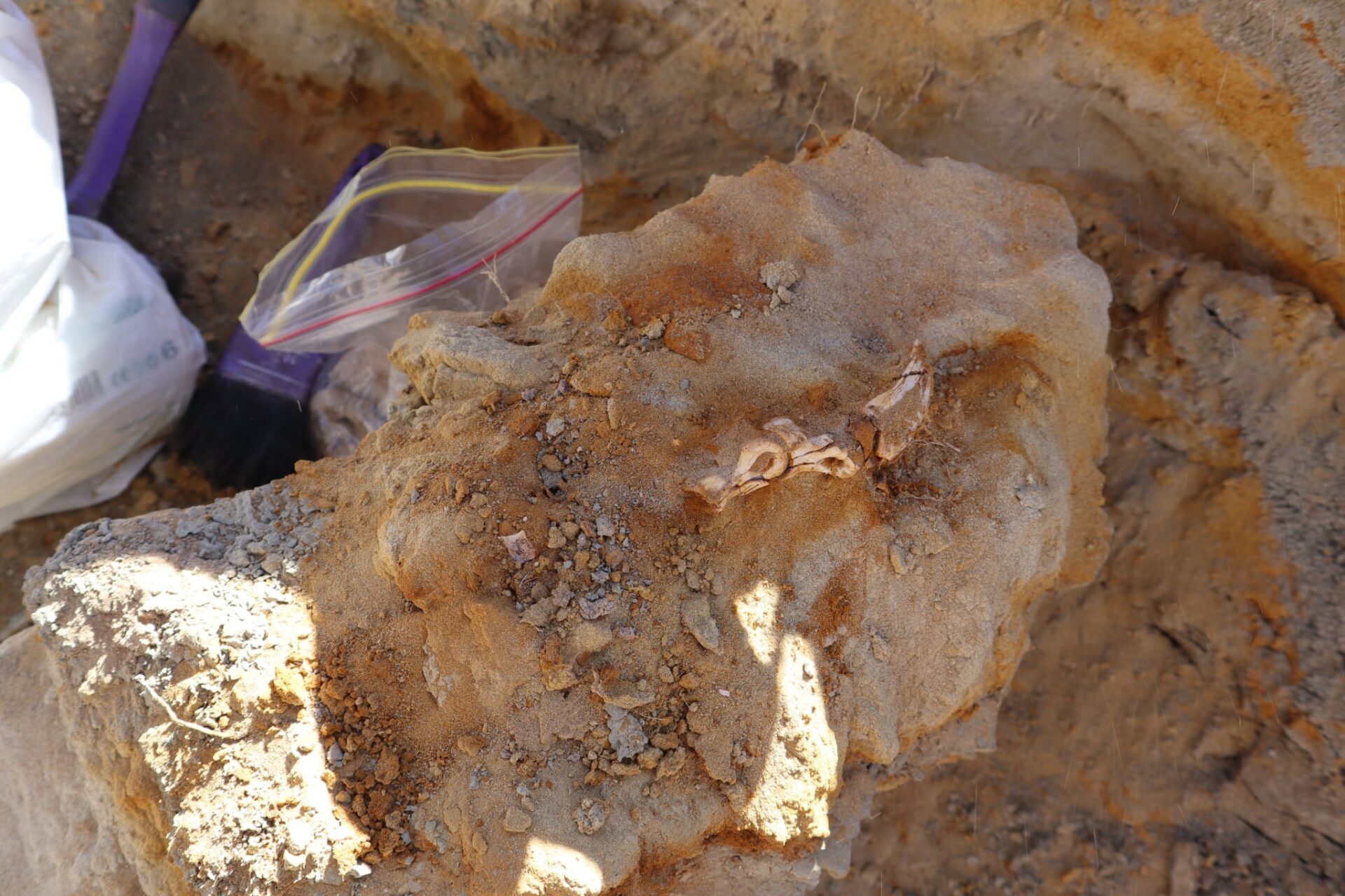 C693d643 879f 45b3 807d F3b531ddf9e6