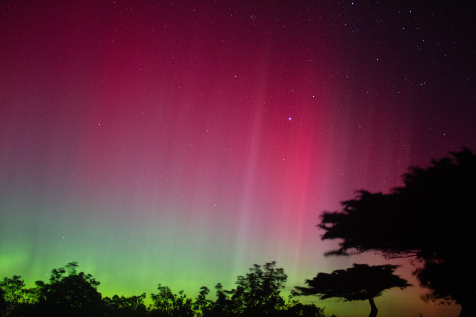 Aurora,Australis,Over,Night,Sky,At,The,Coast.,Fliners,,Mornington