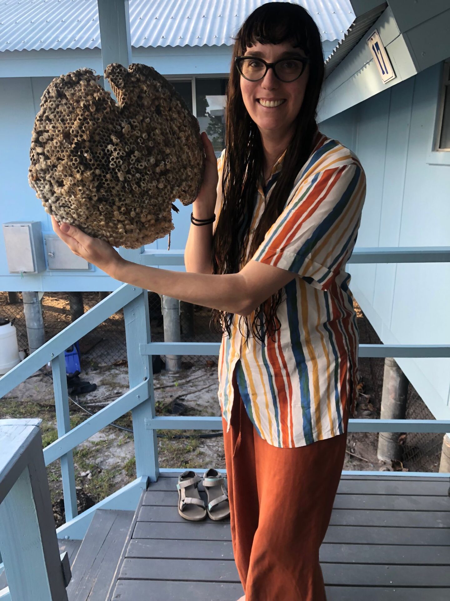 26b92752 E18d 4143 B49f D209e1ea5fd0