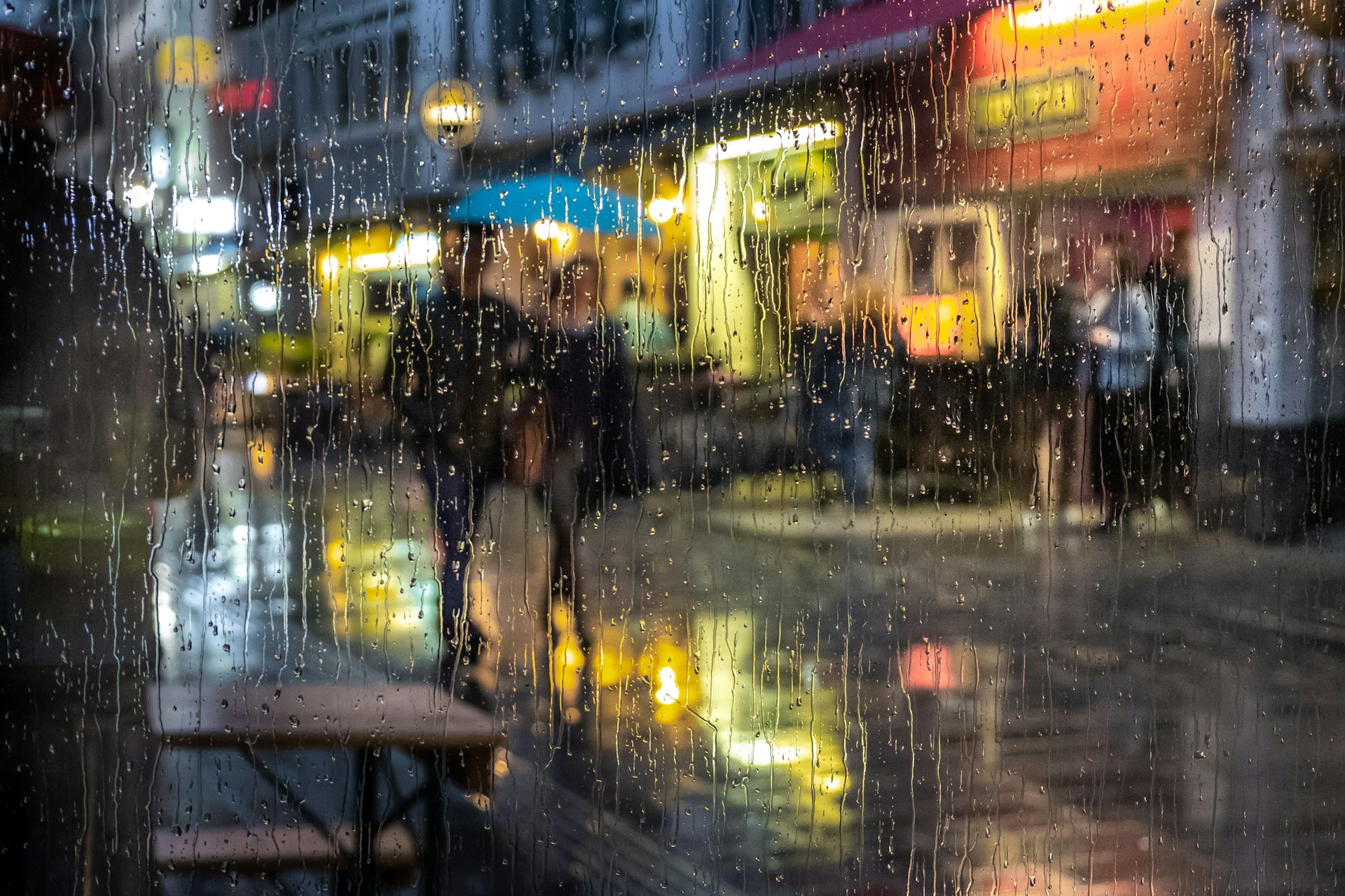 Gil Ribeiro FhR46F3l9KQ Unsplash (1)