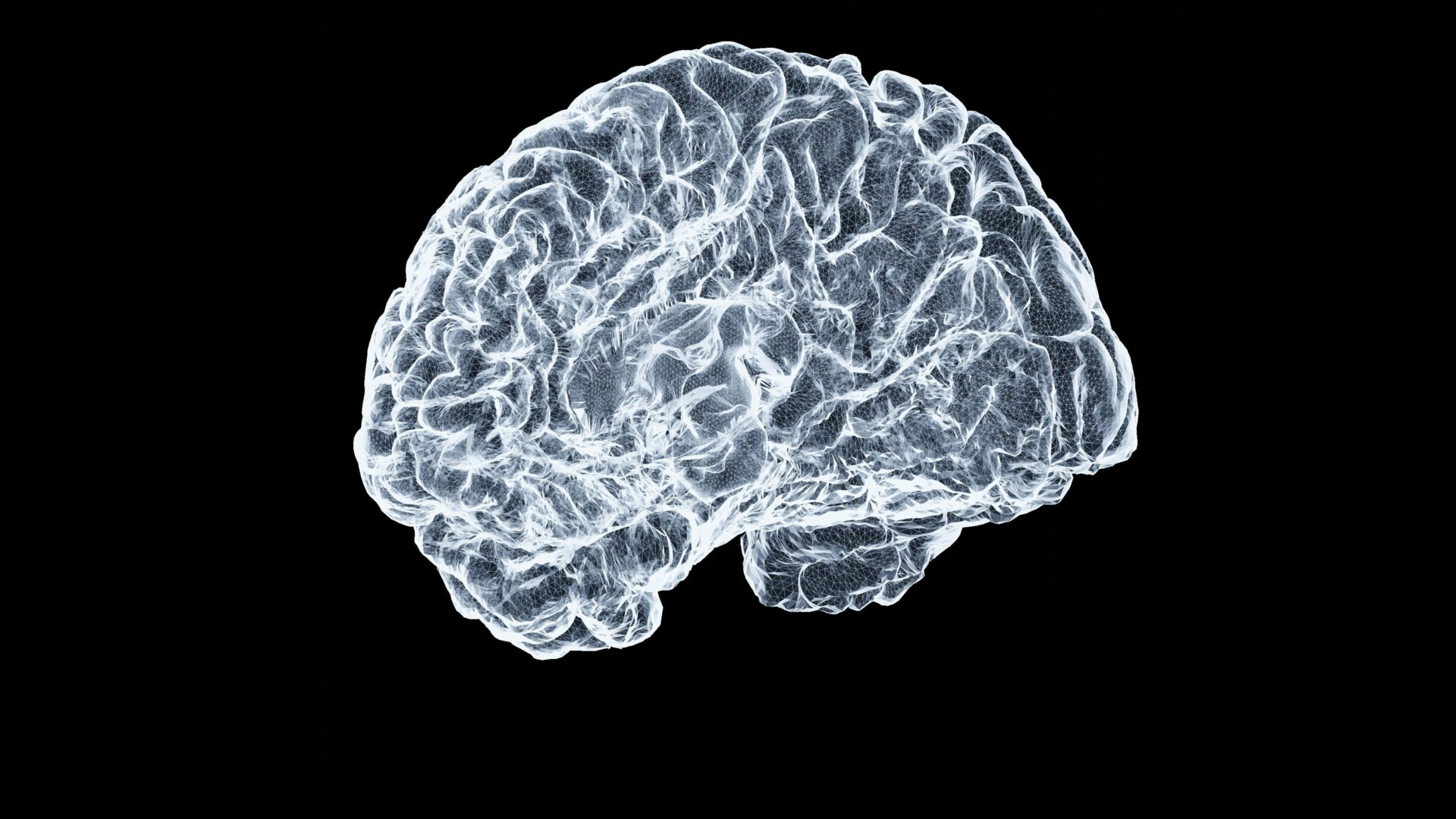 Shawn Day Ii6BOPjAtVY Unsplash